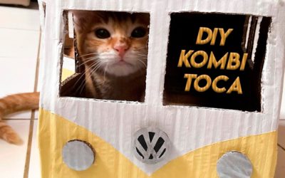 DIY: Kombi toca para gatos