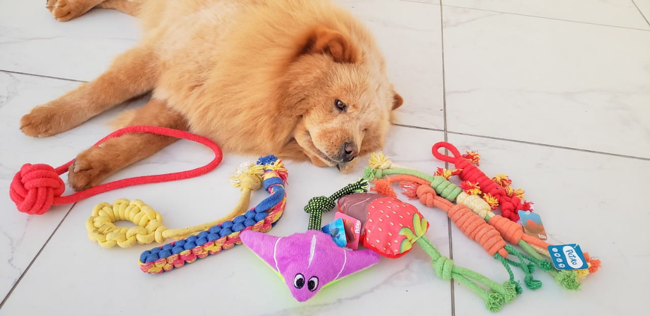 brinquedos de corda para cachorro