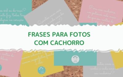 Frases para fotos com cachorro no Instagram