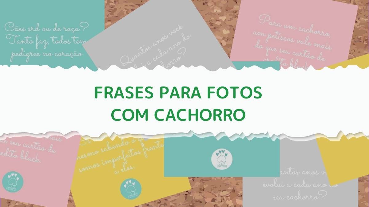 Frases para fotos com cachorro