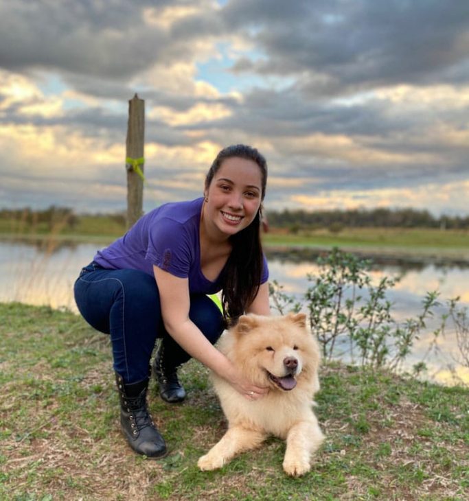 Ter um Chow Chow é ter uma companhia fiel para todo sempre! 