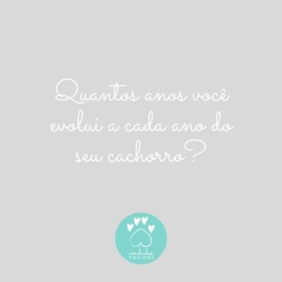 Quantos anos você evolui a cada ano do seu cachorro?