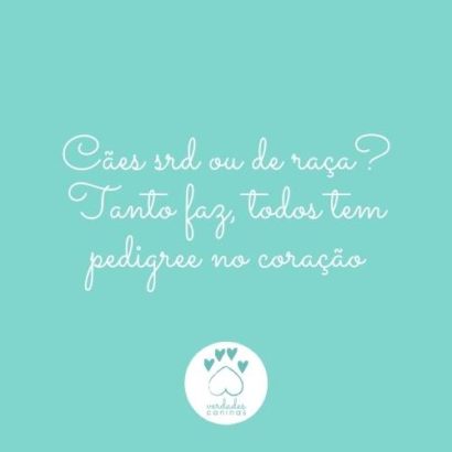 Cães srd ou de raça? Tanto faz, todos tem pedigree no coração.