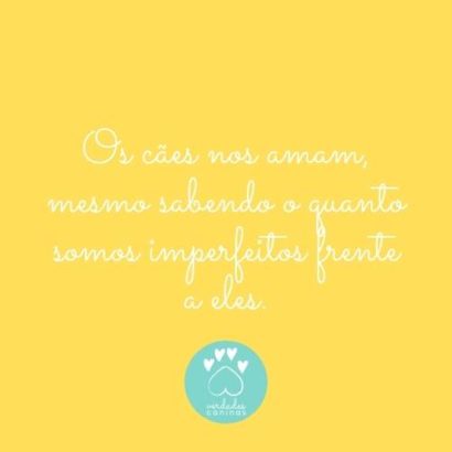 Os cães nos amam, mesmo sabendo o quanto somos imperfeitos frente a eles.