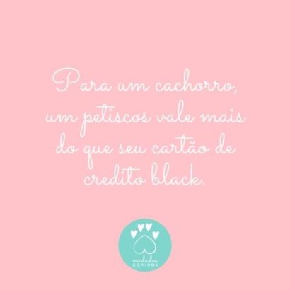 Frases para fotos com cachorro no Instagram