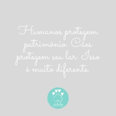 Humanos protegem patrimônio. Cães protegem seu lar. Isso é muito diferente.