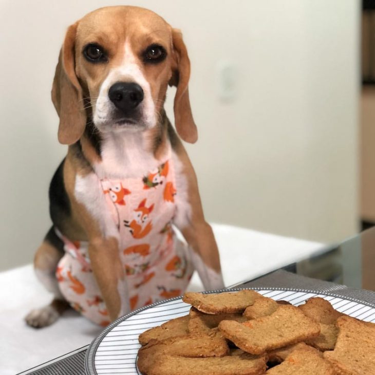 Receita de Cookie Calmante