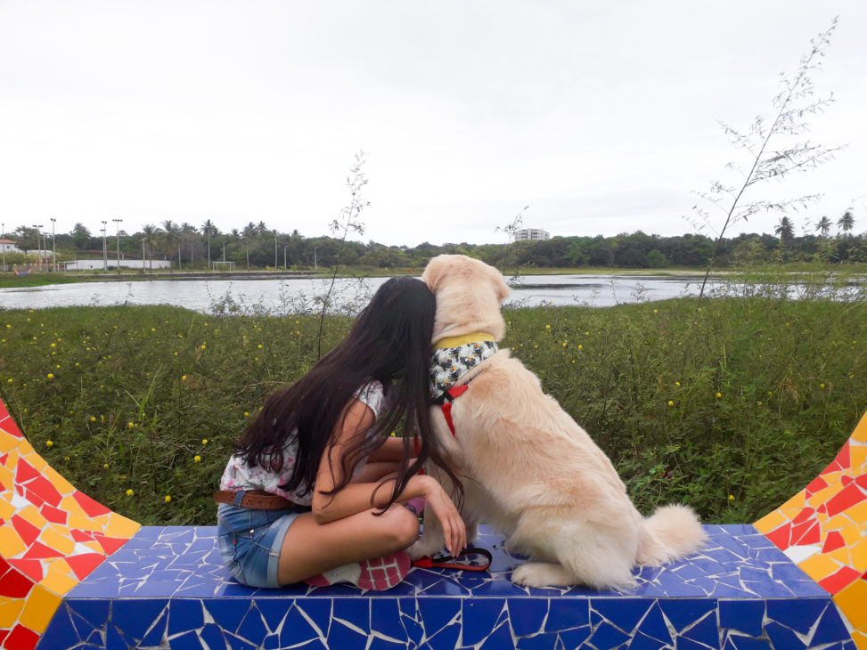 Golden retriever gosta de carinho?