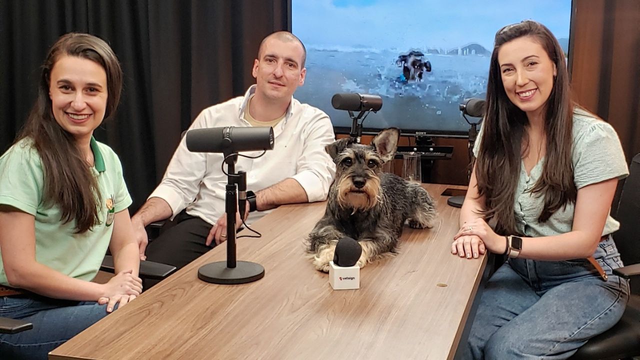 Doenças de cachorro no verão