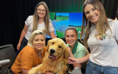 Saúde Mental e Enriquecimento Ambiental para Cães