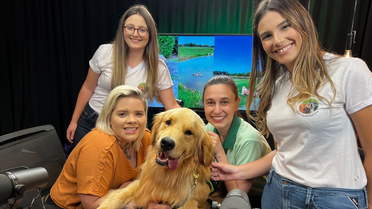 Saúde Mental e Enriquecimento Ambiental para Cães